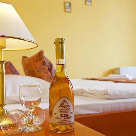 Hotel Jarja Hajduszoboszlo